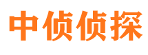 安化婚外情调查